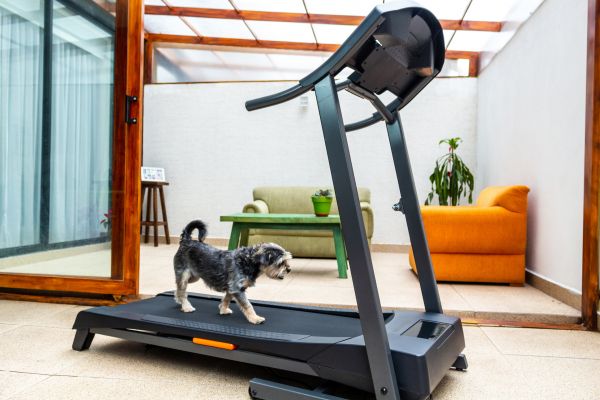Cost of Treadmill Installation in Wylie