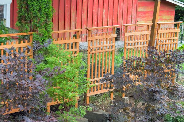 Wood Trellis Mounting in Wylie