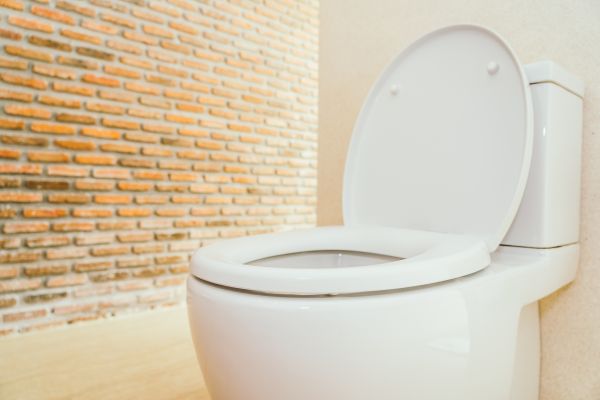 Cost of Toilet Seat Repair in Wylie