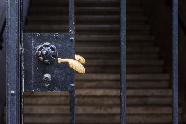 Cost of Gate Handle Replacement in Wylie