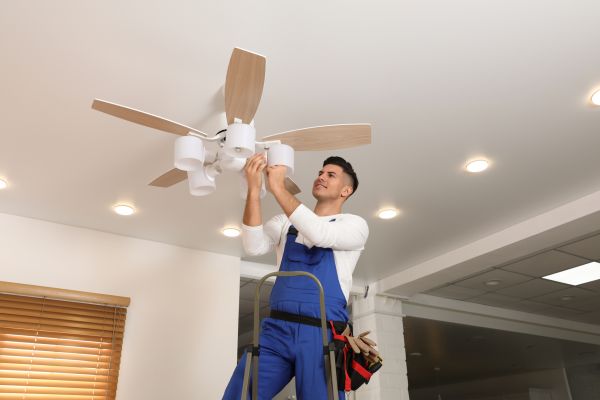 Cost of Ceiling Fan Bulb Replacement in Wylie